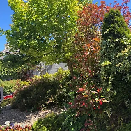 Amber Hill Bed & Breakfast 3*