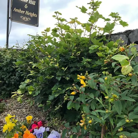 Bed & Breakfast Amber Hill Galway