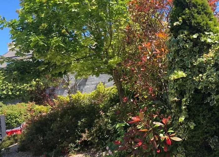 Amber Hill Отель типа 