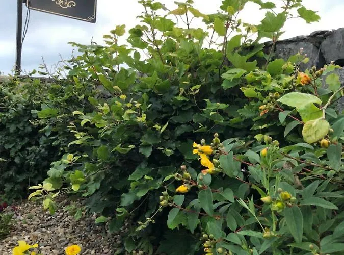 Bed and breakfast Amber Hill Galway